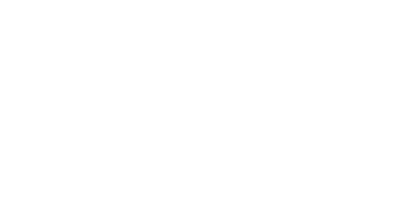 New Horizon